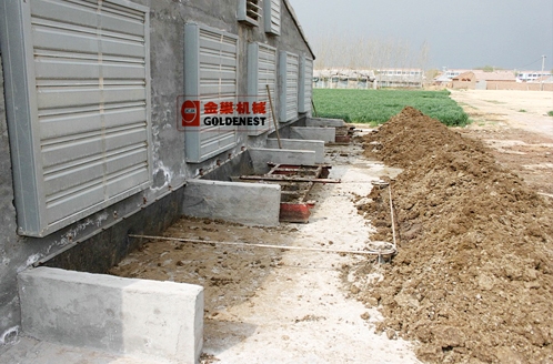 雞糞刮出舍外現場應用