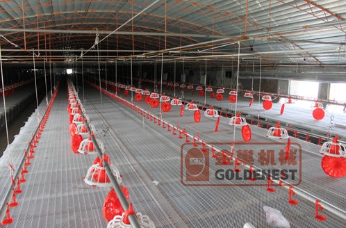 肉雞料線（xiàn）