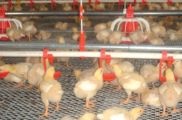 水線終端組件（jiàn）