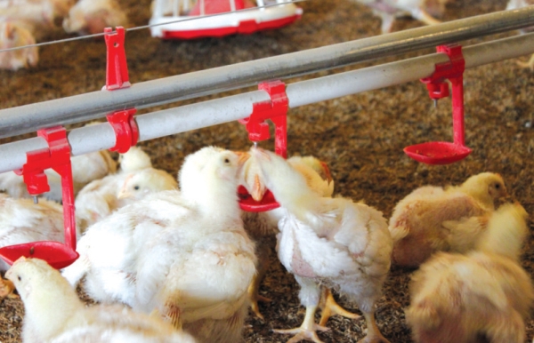 水線終端組件（jiàn）