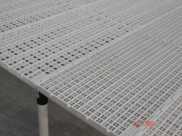 種雞平養塑料漏糞地板