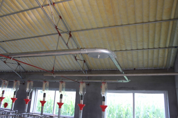 妊娠母豬自動供料係統