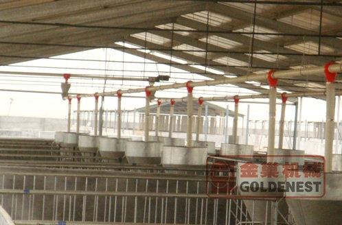 育（yù）肥豬直線供料