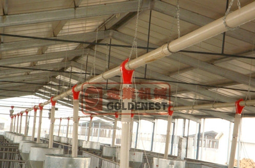 育肥豬直（zhí）線供料