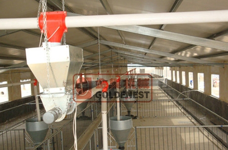 育（yù）肥豬直線供料