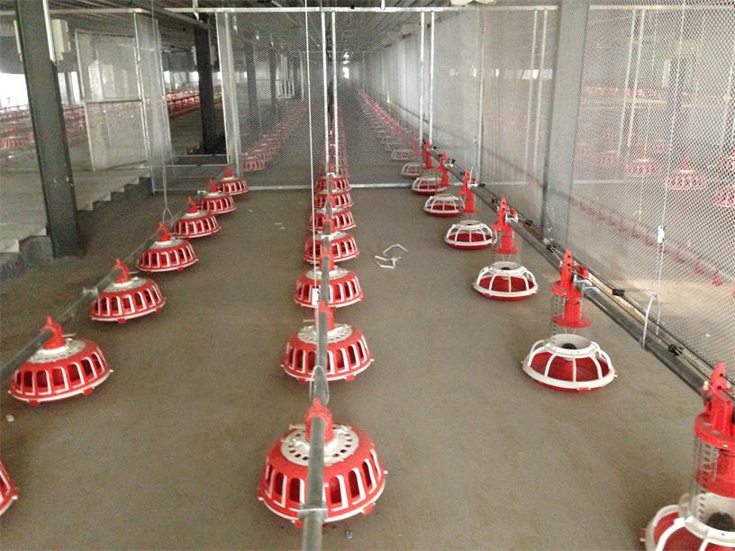 索盤環繞盤式種雞喂（wèi）料係統（tǒng）