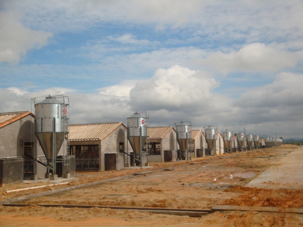 養豬場五噸鋼板倉
