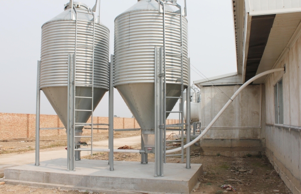 養雞自動喂料（liào）係統